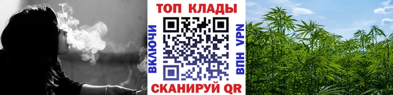 Магазины продажи наркотиков Андреаполь KRAKEN маркетплейс  Амфетамин  Псилоцибиновые грибы  КОКАИН  Альфа ПВП 