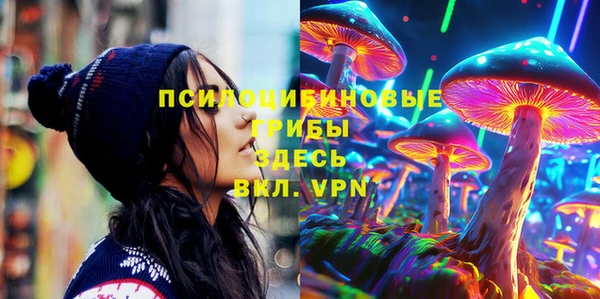 твердый Алексин